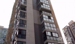 新和嘉苑最新爆料,揭秘神秘豪宅背后的故事与价值”